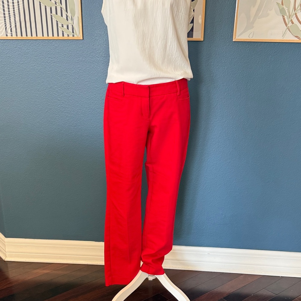 Express Red Straight Leg Pants